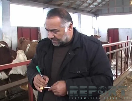 ​İmişlidə dabaq xəstəliyinə qarşı profilaktik tədbirlərə başlanılıb