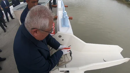Neftçalada Kürə körpə nərə balıqları buraxılıb