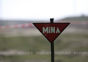French expert: If Armenia does not provide minefield maps, it will be forced to do so in court