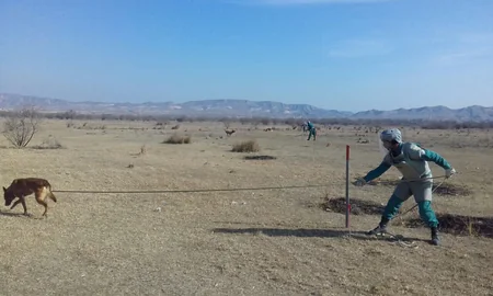 Cocuq Mərcanlıda 468 ədəd qəlpə aşkarlanıb