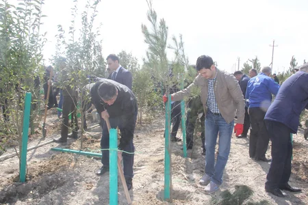 Balaxanı tullantı poliqonunda 1000 ədəd ağac əkilib - FOTO