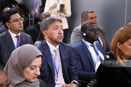Ministerial forum on green governance launches at COP29 in Baku