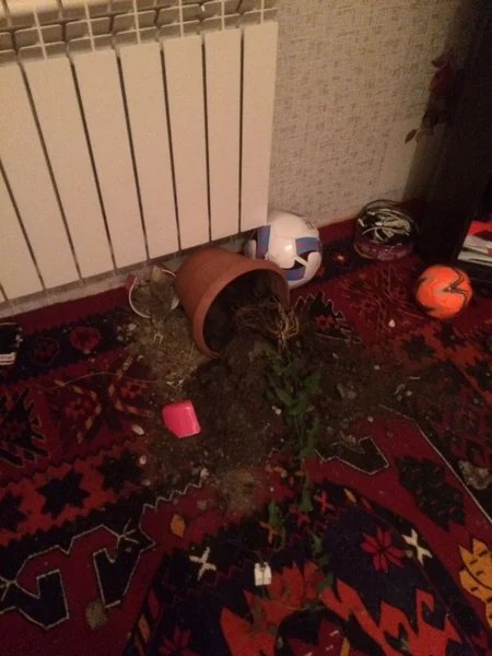 Abşeronda jurnalistin evindən oğurluq olub