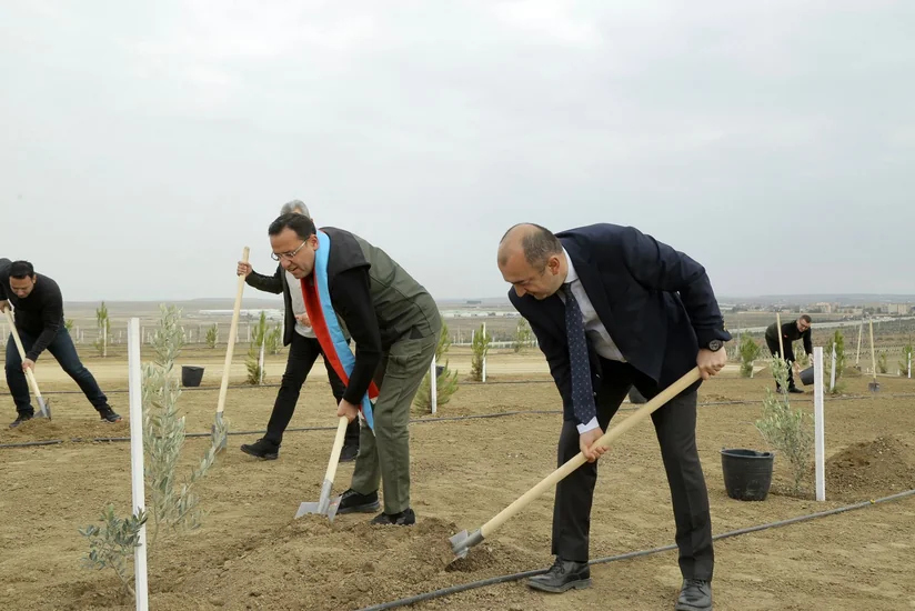 Azərbaycanda Türk Dövlətləri Milli Ağaclandırma Günü münasibətilə 111 min 111 ağac əkilib