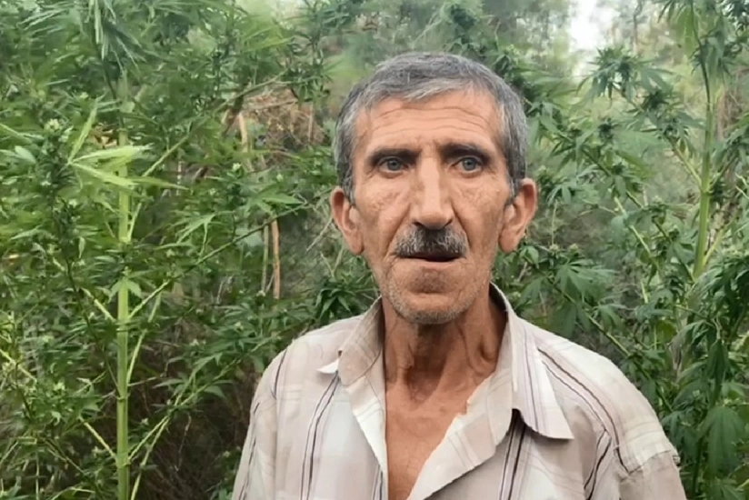 Kür çayının sahilində narkotik yetişdirən üç nəfər saxlanılıb