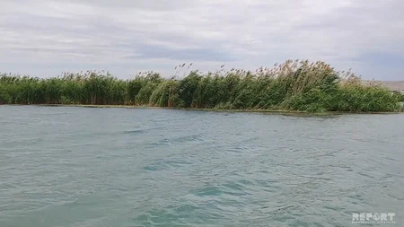 Рыболовная сеть, сброшенная в Куру в Мингячевире, наносит вред природе и спорту - ВИДЕО