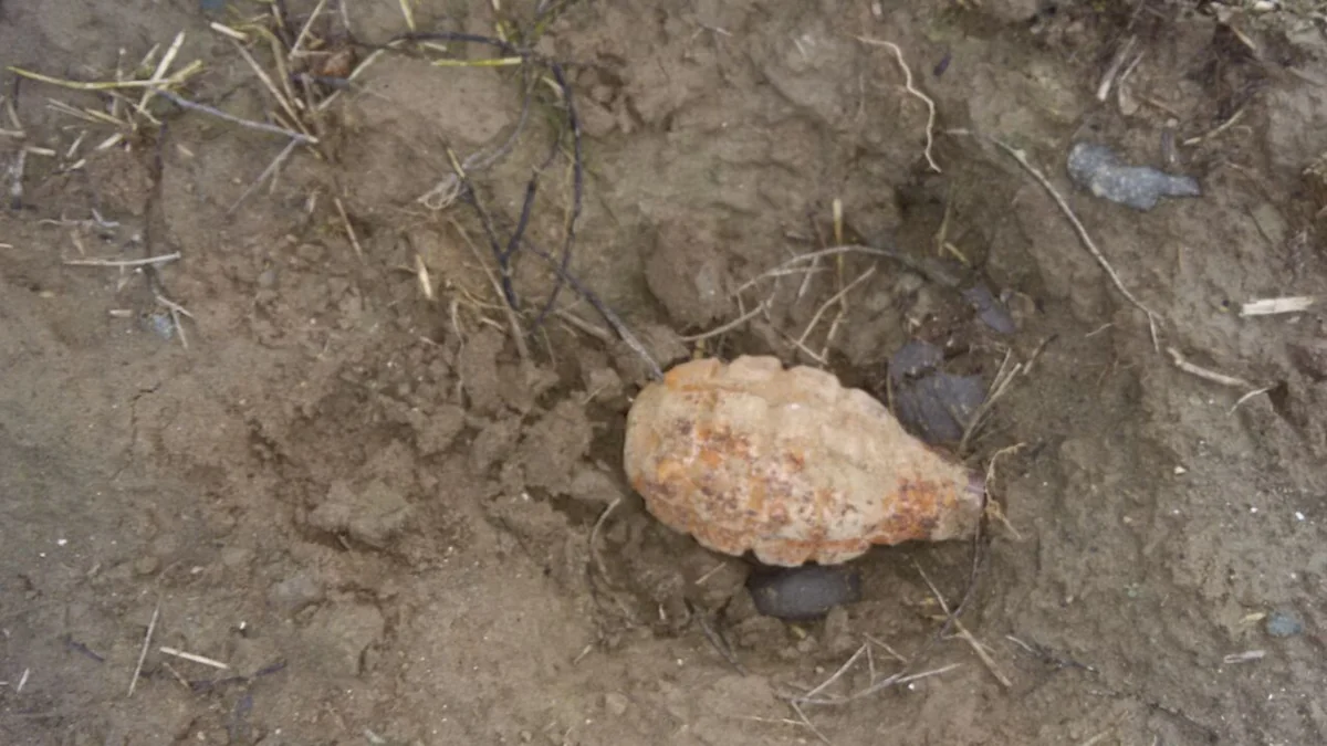Goranboyda yol kənarından əl qumbarası aşkar edilib