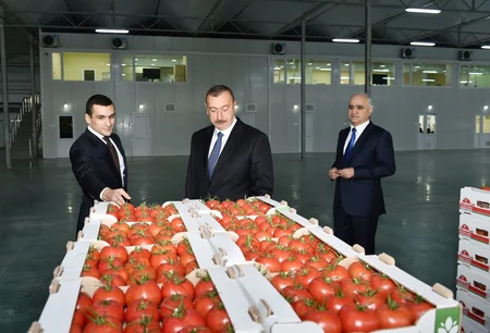 Prezident İlham Əliyev Zirə qəsəbəsində “BAKU AGROPARK”da görülən işlərlə tanış olub