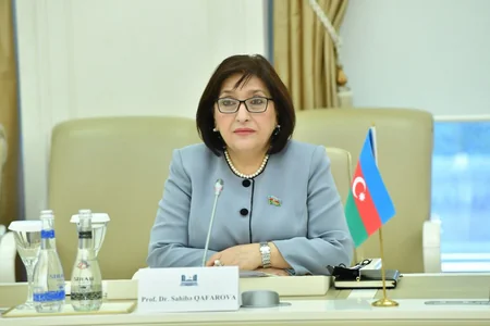Sahibə Qafarova TBMM-in Azərbaycanla dostluq qrupunun üzvləri ilə görüşüb