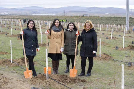 Kənd Təsərrüfatı Nazirliyi ağacəkmə kampaniyasına qatılıb
