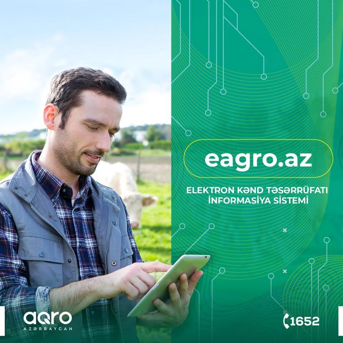 Azərbaycanda kənd təsərrüfatı məhsulları istehsalının subsidiyalaşdırılması üzrə yeni qayda qüvvəyə minib