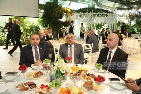 YAP-ın Mərkəzi Aparatı Zərifə Əliyevanın 100 illik yubileyinə həsr edilmiş tədbir keçirib - YENİLƏNİB