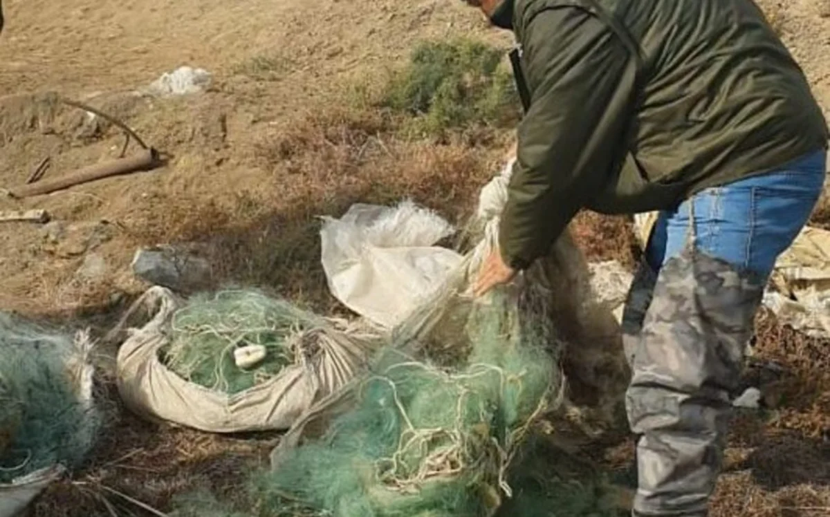 Xidmət rəisi balıq ovu ilə məşğul olanları sintetik torlardan istifadəyə son qoymağa çağırıb