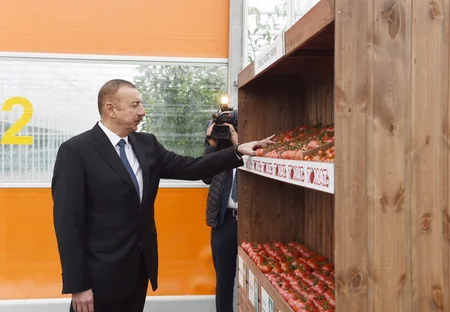 Prezident İlham Əliyev Zirə qəsəbəsində “BAKU AGROPARK”da görülən işlərlə tanış olub