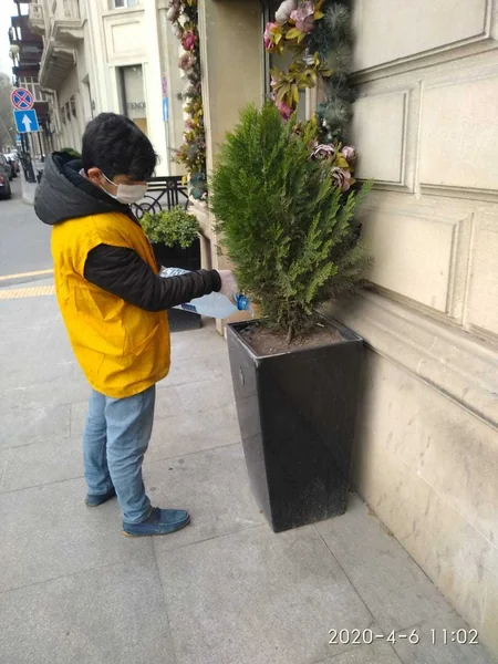 Karantin günlərində paytaxtda yaşıllıqlara qulluq göstərilir
