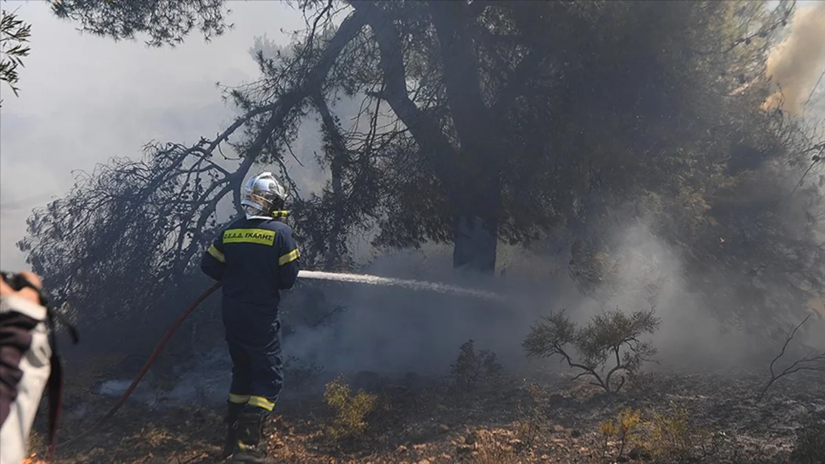 Greece: 46 wildfires in the last 24 hours 