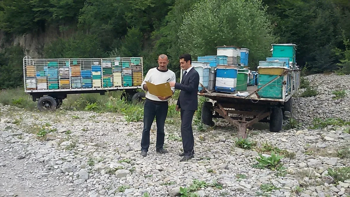 KOBİA Şəkidə arıçılıqla məşğul olan sahibkarlara dəstək olub