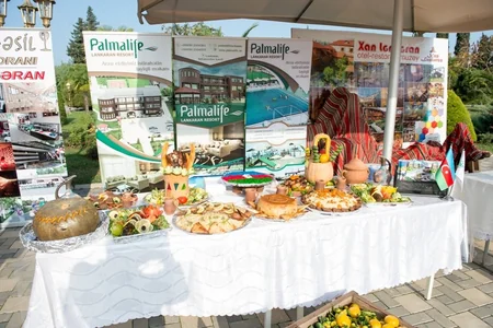 Lənkəranda III Çay, Çəltik, Sitrus Festivalı keçiriləcək - FOTO - VİDEO