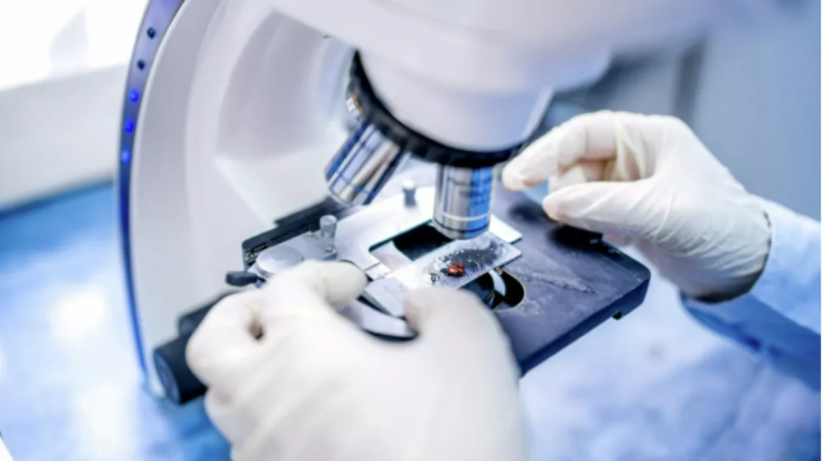 Experts unveil cholesterol-lowering supplements