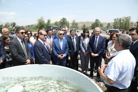 Diplomats, international experts release trouts into Hakari River