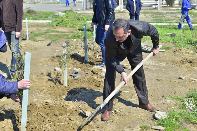 SOCAR əməkdaşları 5 900 ağac əkib