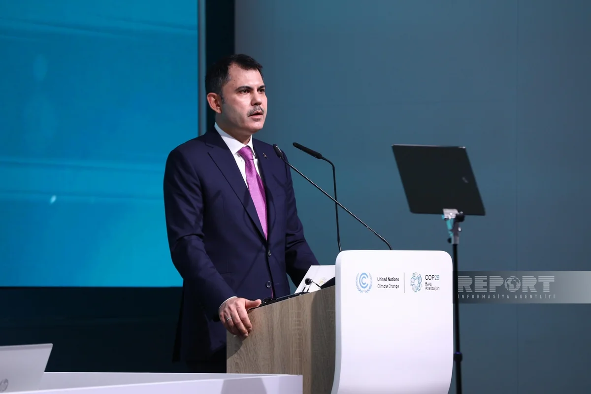 Nazir: Türkiyə iqlim qanunu hazırlayır