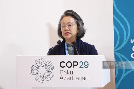 Ministerial forum on green governance launches at COP29 in Baku