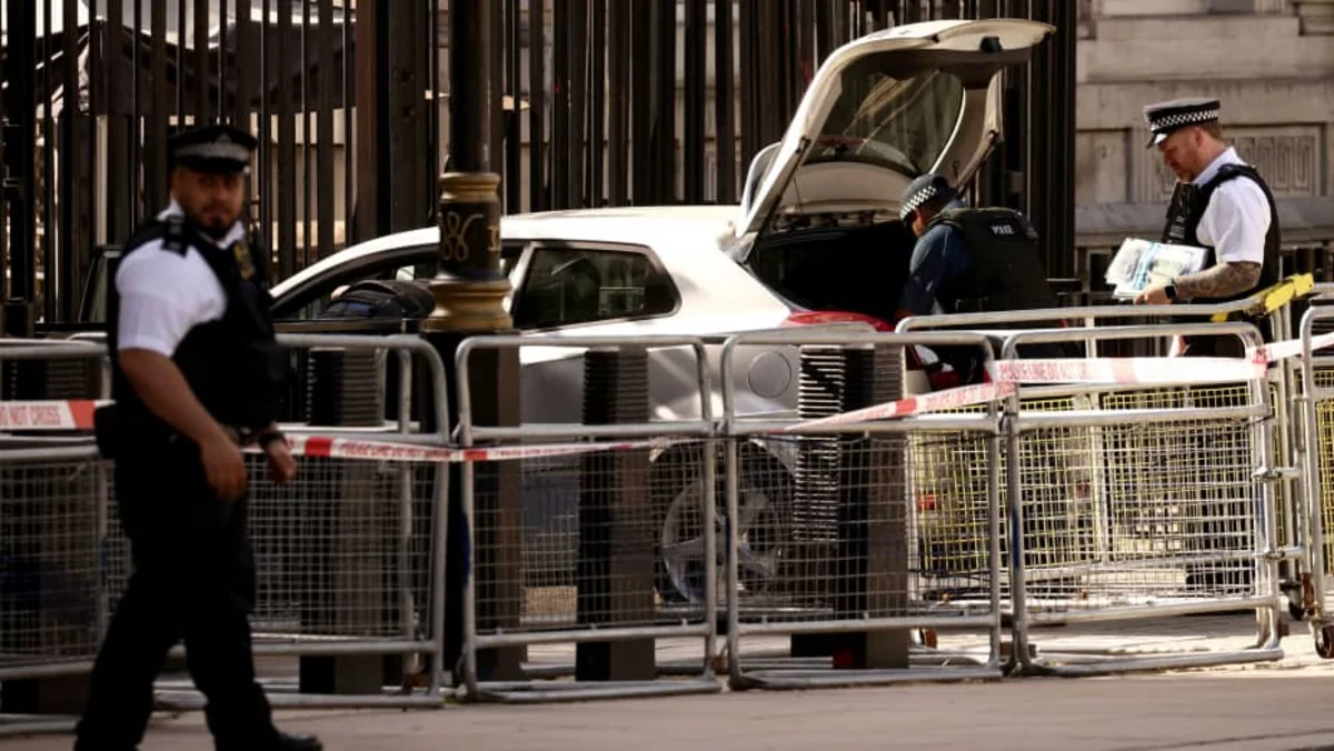 UK police release man arrested over Downing Street collision