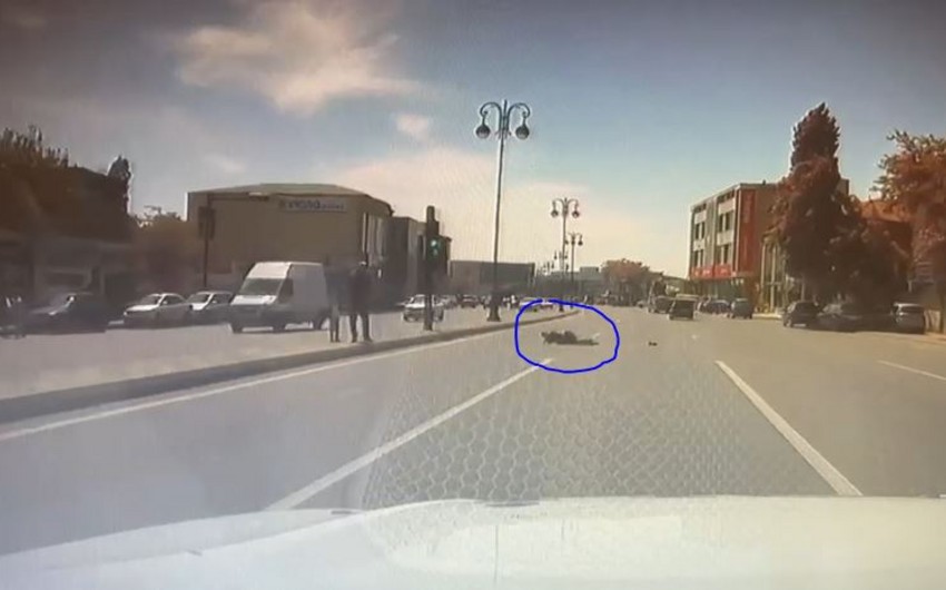 Bakıda polis maşını qadını vurub? - DYP-dən AÇIQLAMA - VİDEO