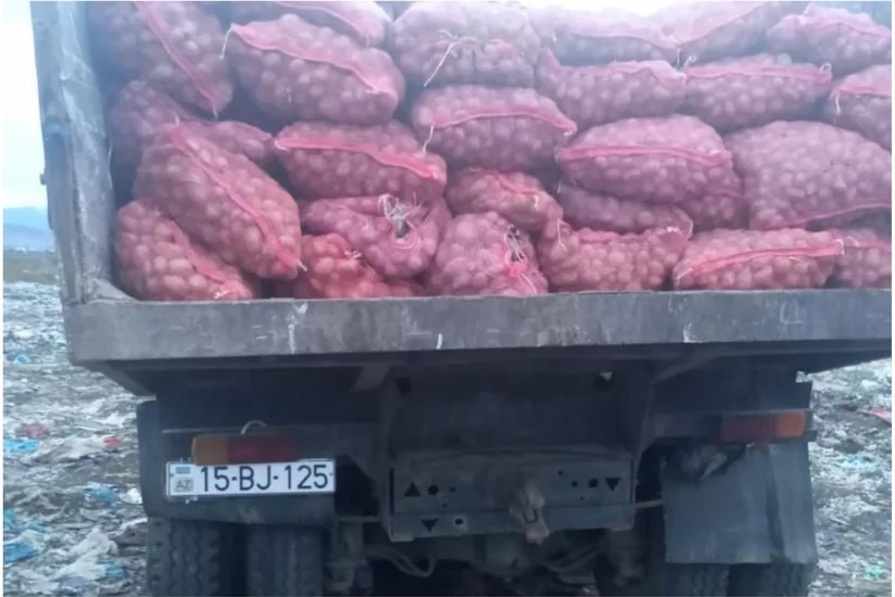 Toxumluq kartof məhsulunda karantin tətbiq edilən orqanizm aşkarlanıb