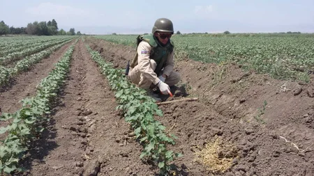 Ötən ay ölkə ərazisində 99 ədəd partlamamış hərbi sursat tapılıb