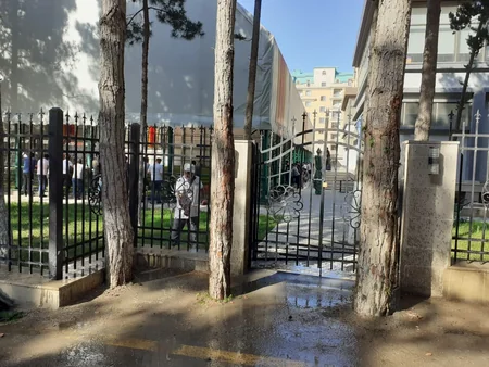 Sumqayıtda ağacların gövdəsi süni örtükdən təmizlənib