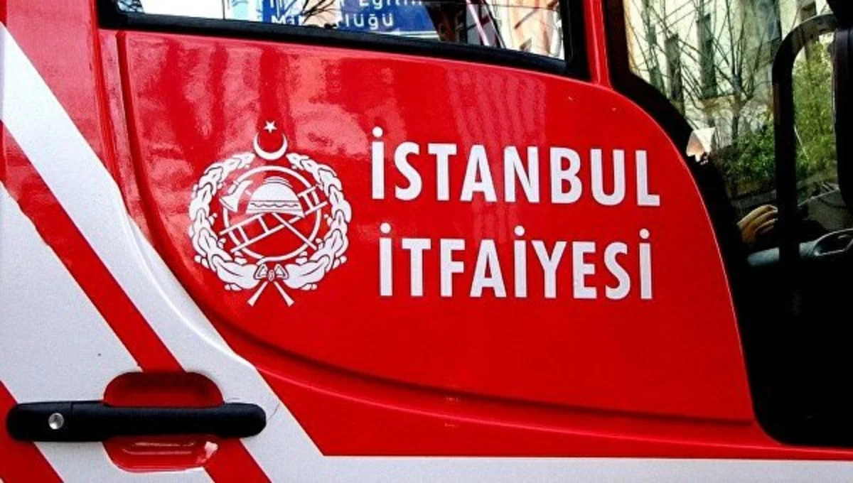 Турция отказалась помогать Кипру в тушении пожаров