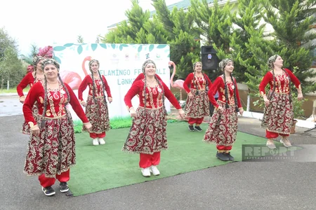 Qızılağac Milli Parkında Flaminqo Festivalı keçirilib - YENİLƏNİB
