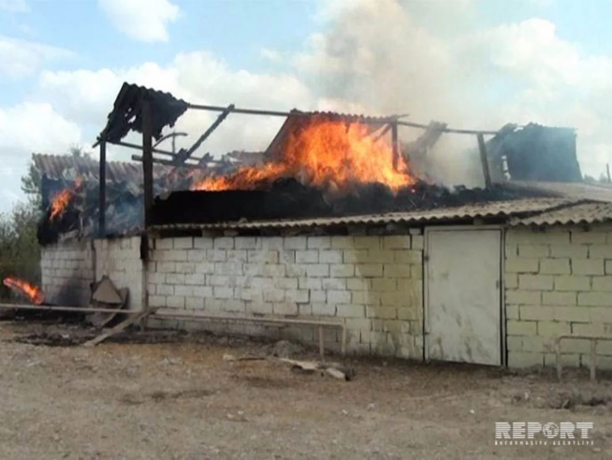 Neftçalada evin çardağına yığılmış 1200 ədəd ot bağlaması yanıb - FOTO