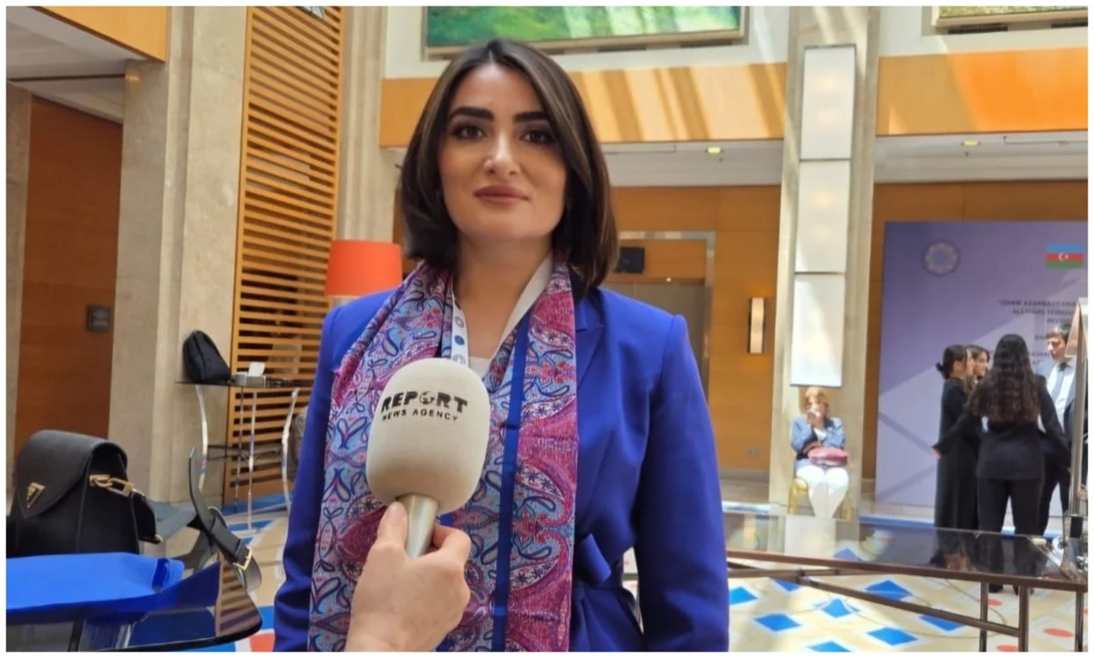 Turkish scholar: Armenian diaspora is presenting terrorist organization it founded to world as peaceful organization