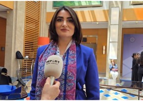 Turkish scholar: Armenian diaspora is presenting terrorist organization it founded to world as peaceful organization