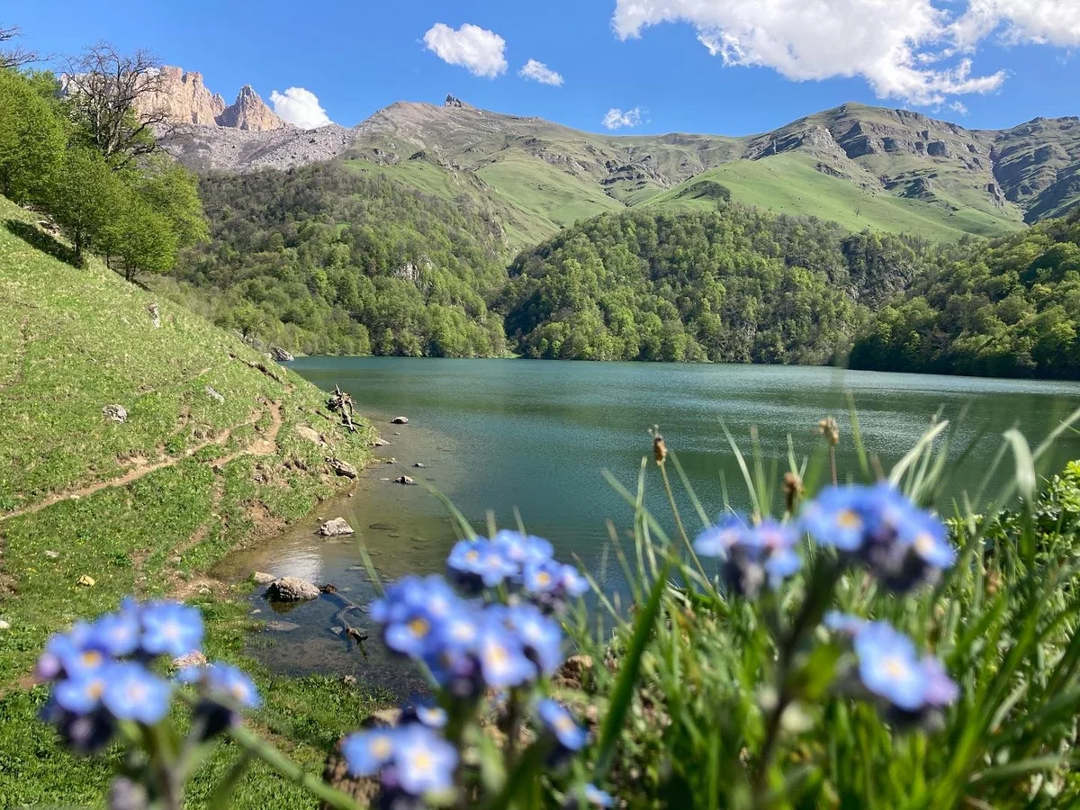 Ötən il Göygöl Milli Parkını 200 mindən çox turist ziyarət edib