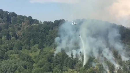 FHN meşə yanğınları ilə bağlı məlumat yayıb