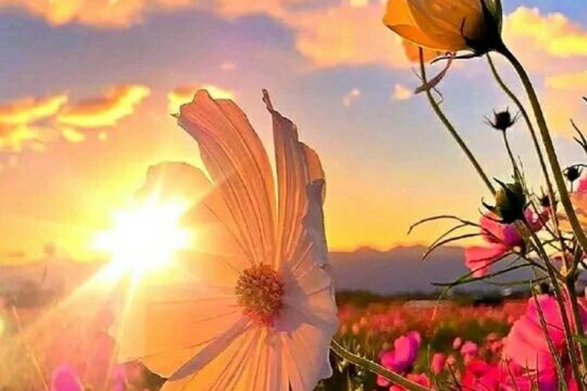 Завтра в Азербайджане воздух прогреется до 39 градусов тепла