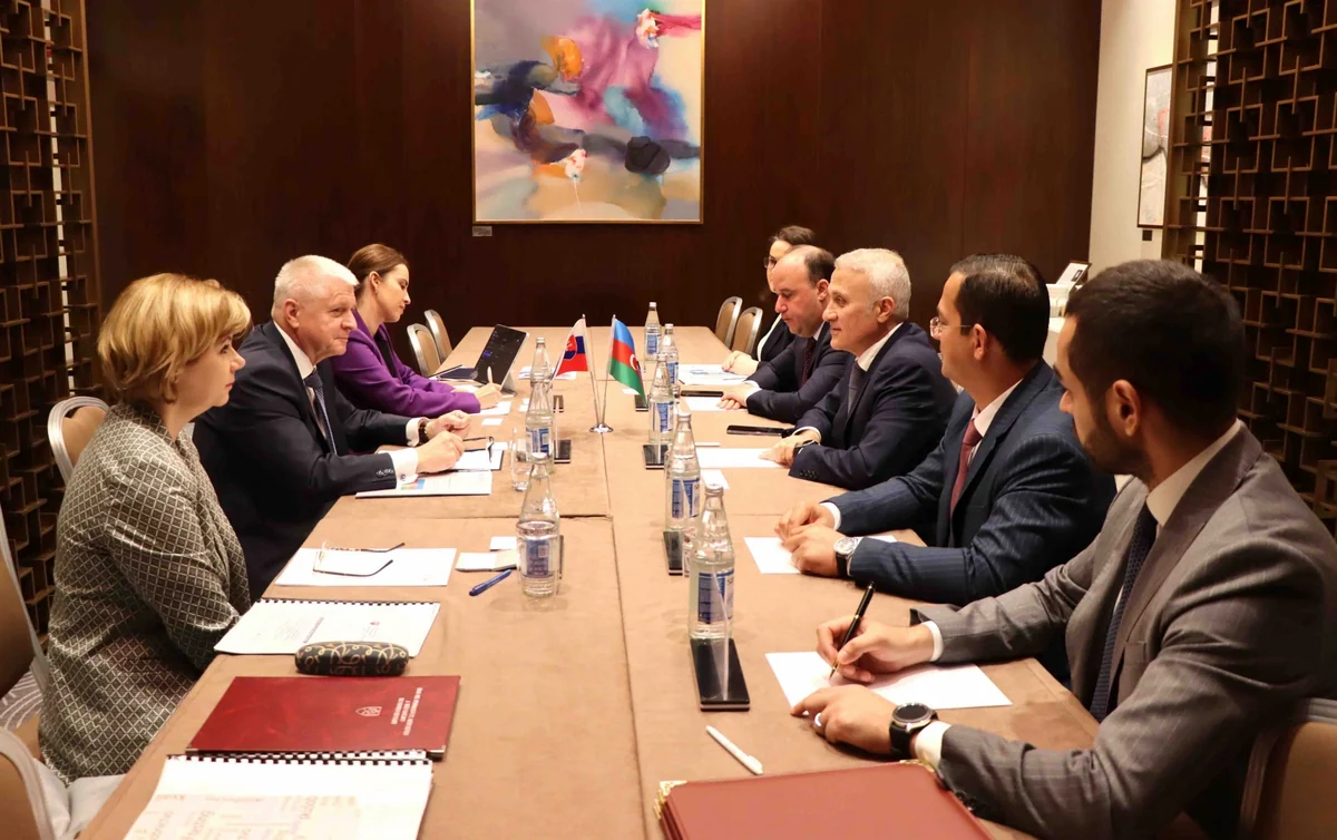 Azerbaijan to implement joint project on standardization with Slovakia