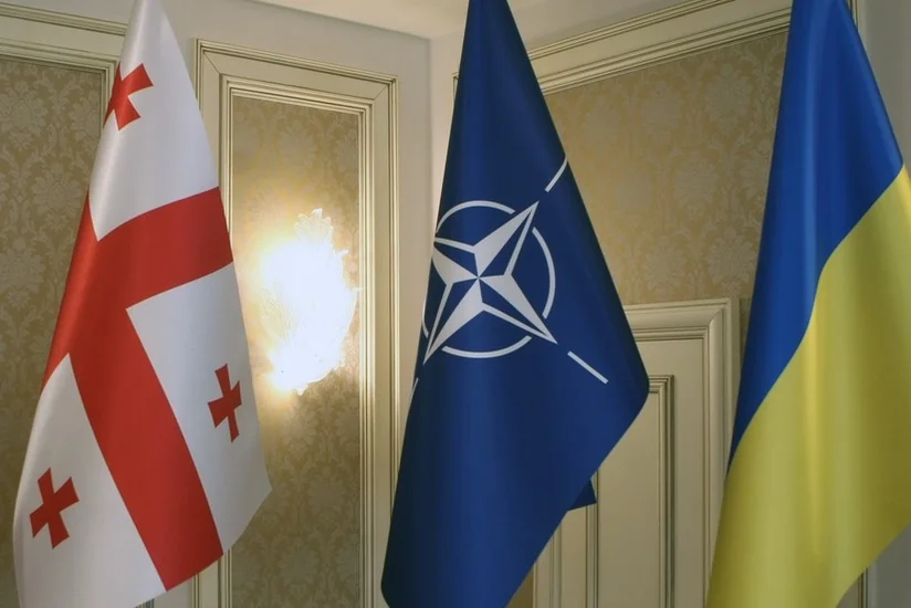 США назвал условия для вступления Украины и Грузии в НАТО