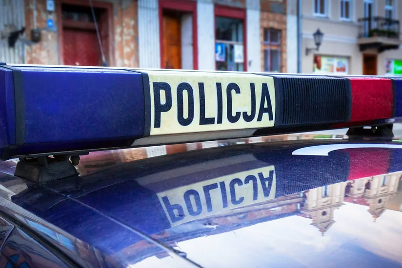 Polşada COVID-19 xəstələrini təyin etmək üçün itlərdən istifadə olunacaq