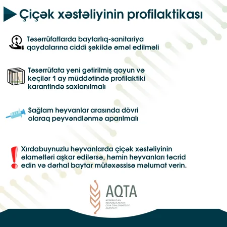 Xırdabuynuzlu heyvanlarda çiçək xəstəliyindən qorunmağın yolları açıqlandı