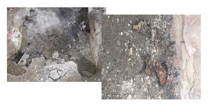 Şəkidə köhnə doğum evinin ərazisindən körpə uşaq sümükləri aşkarlanıb