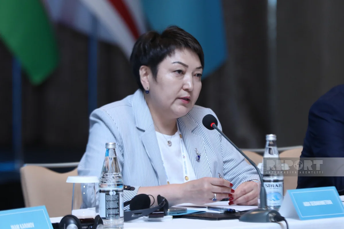 Aida Seidakmatova: 'Declaration to be signed in Baku will be aimed at protecting rights of our citizens'