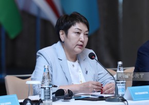 Aida Seidakmatova: 'Declaration to be signed in Baku will be aimed at protecting rights of our citizens'