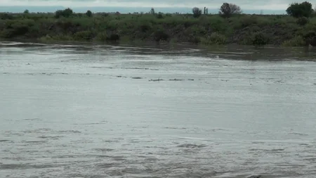 Ucarda aramsız yağan yağışlar körpüyə təhlükə yaradıb