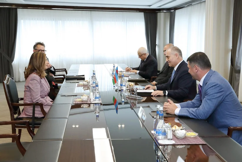 DTX-də İtkin düşmüş şəxslər üzrə Beynəlxalq Komissiyanın rəhbər şəxsləri ilə görüş keçirilib