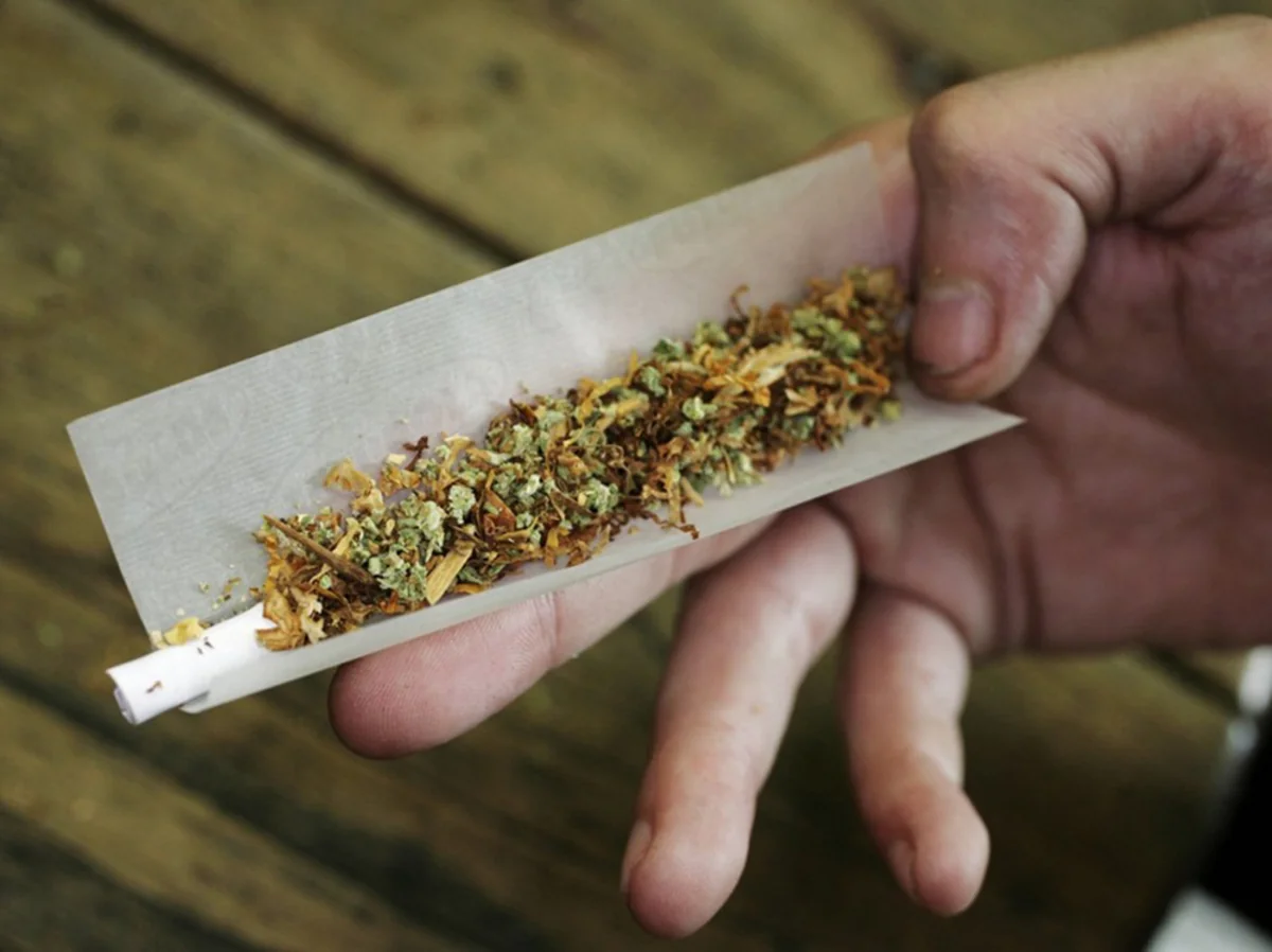 Gəncə sakinindən 7 kiloqram marixuana götürülüb